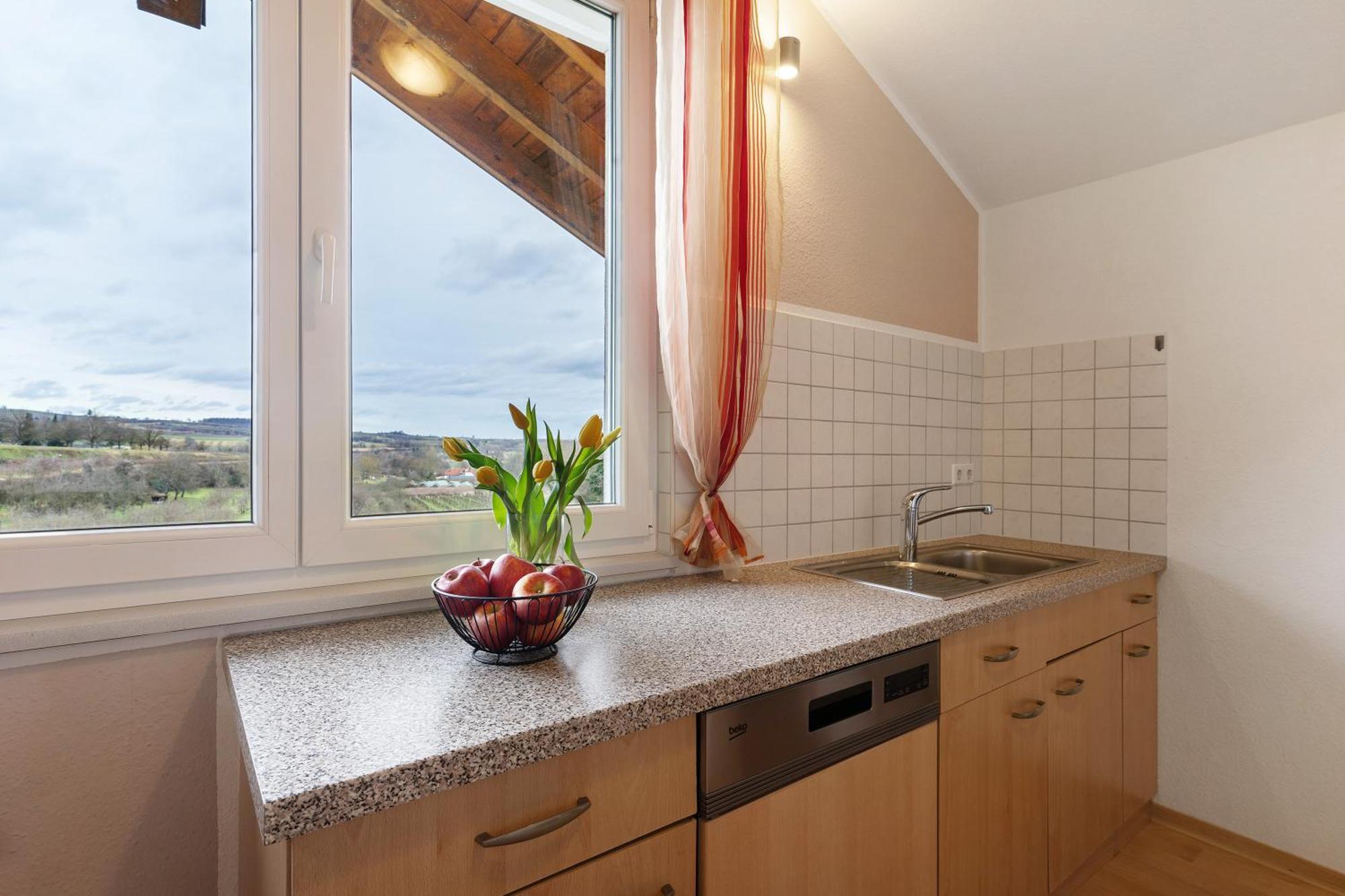 Apartamento Weingut Ringwald Herbolzheim Exterior foto