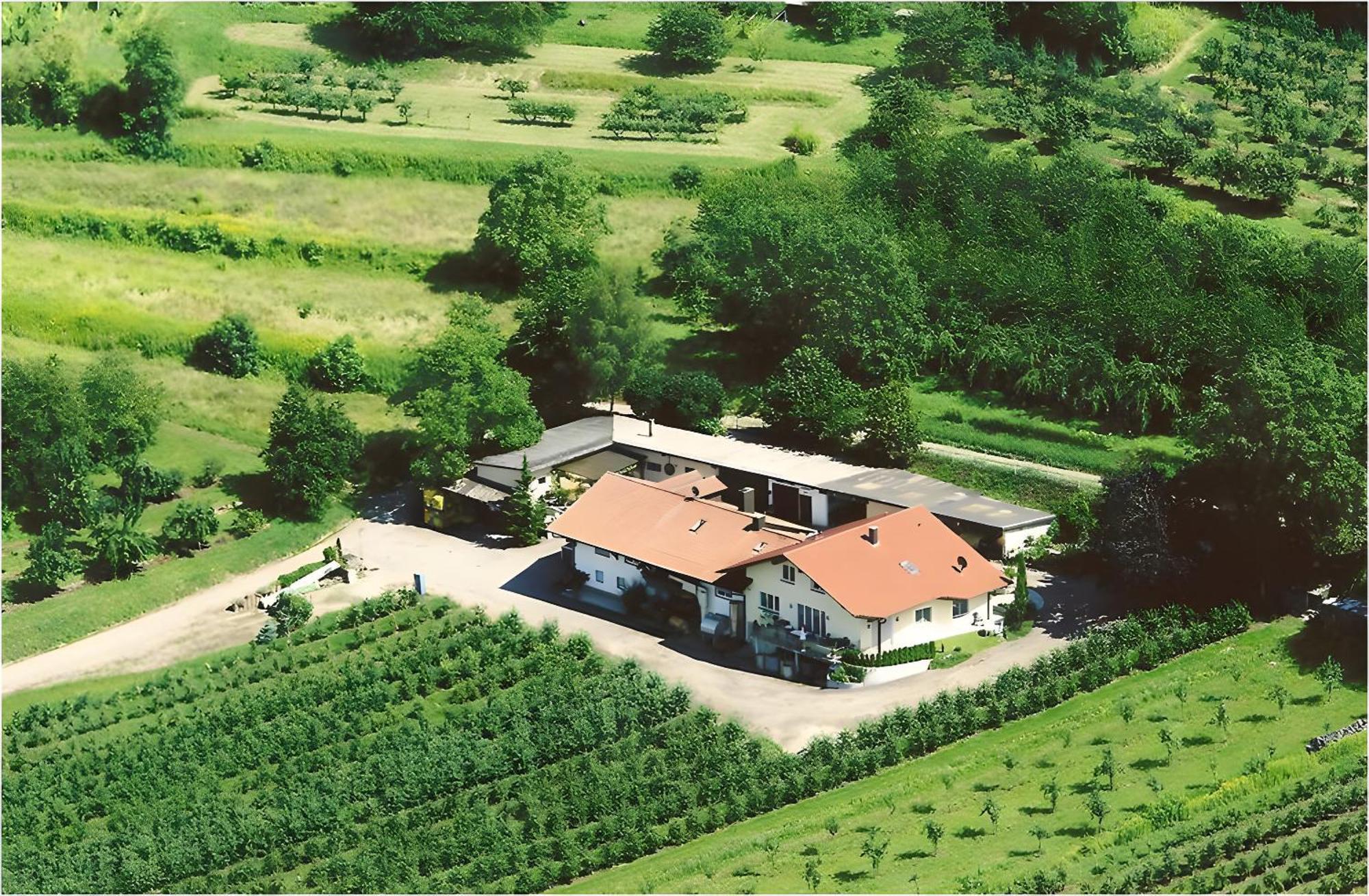 Apartamento Weingut Ringwald Herbolzheim Exterior foto