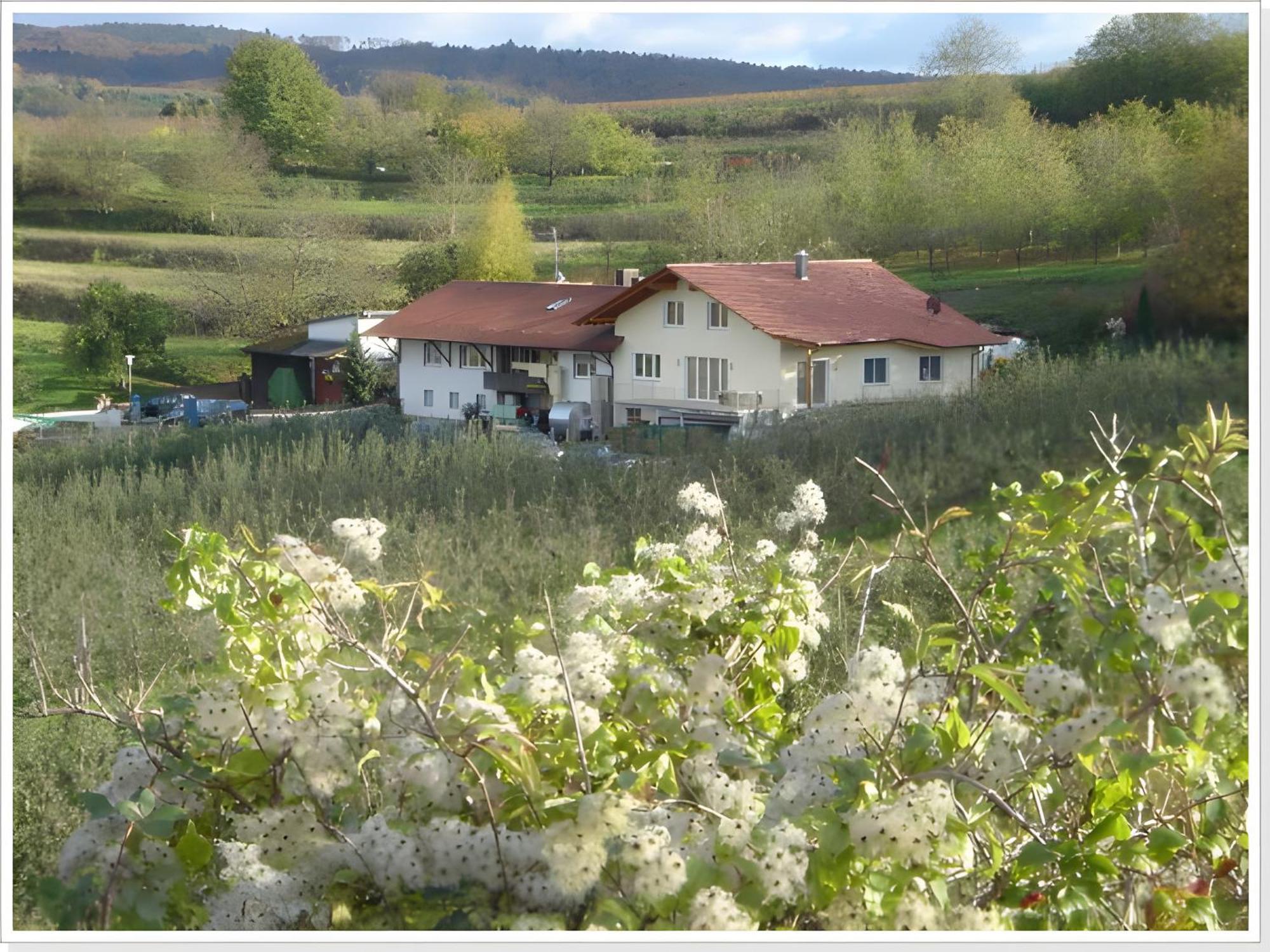 Apartamento Weingut Ringwald Herbolzheim Exterior foto
